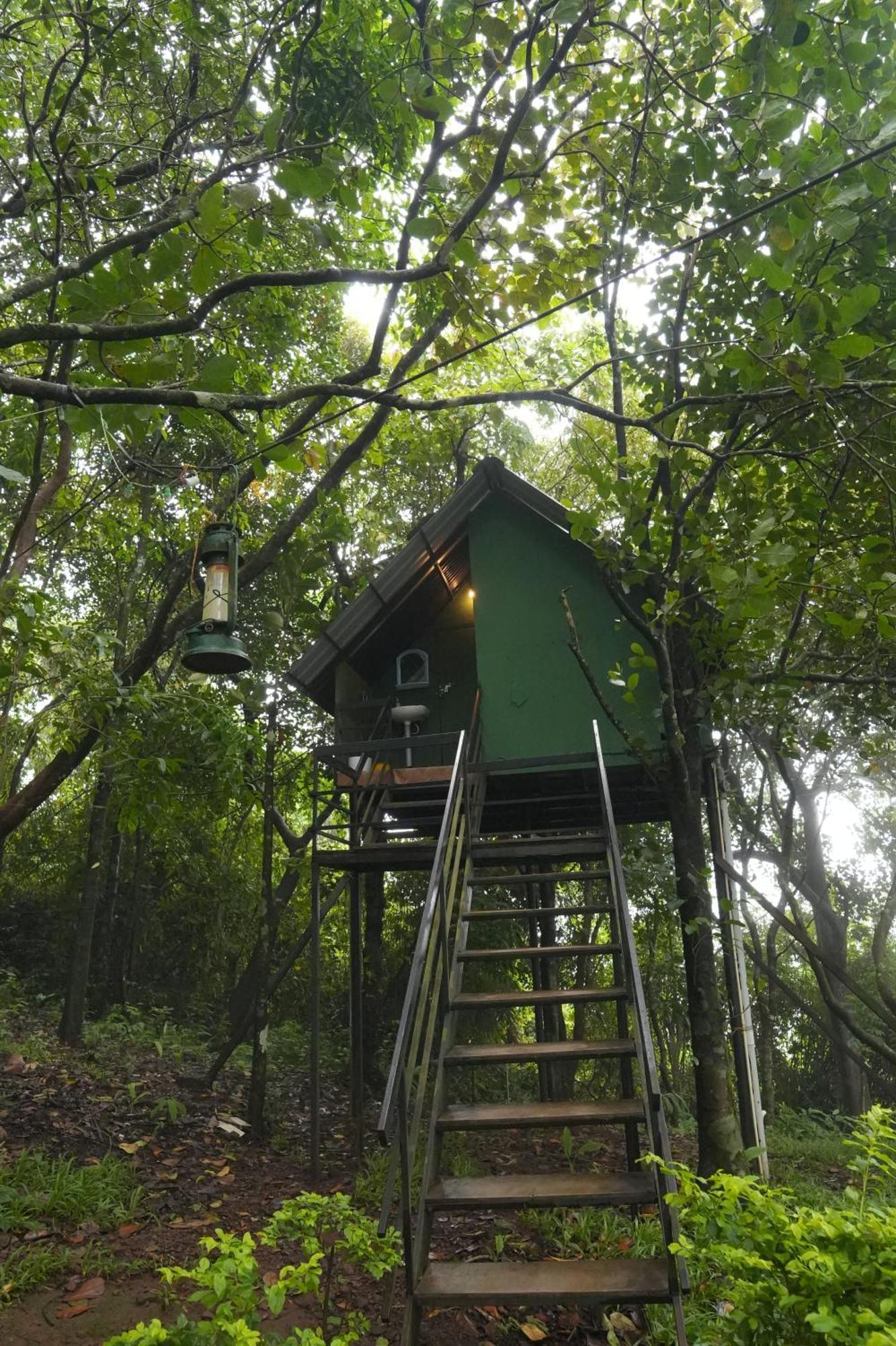 Regina Silva Camping & Nature Resort Paithalmala Екстериор снимка